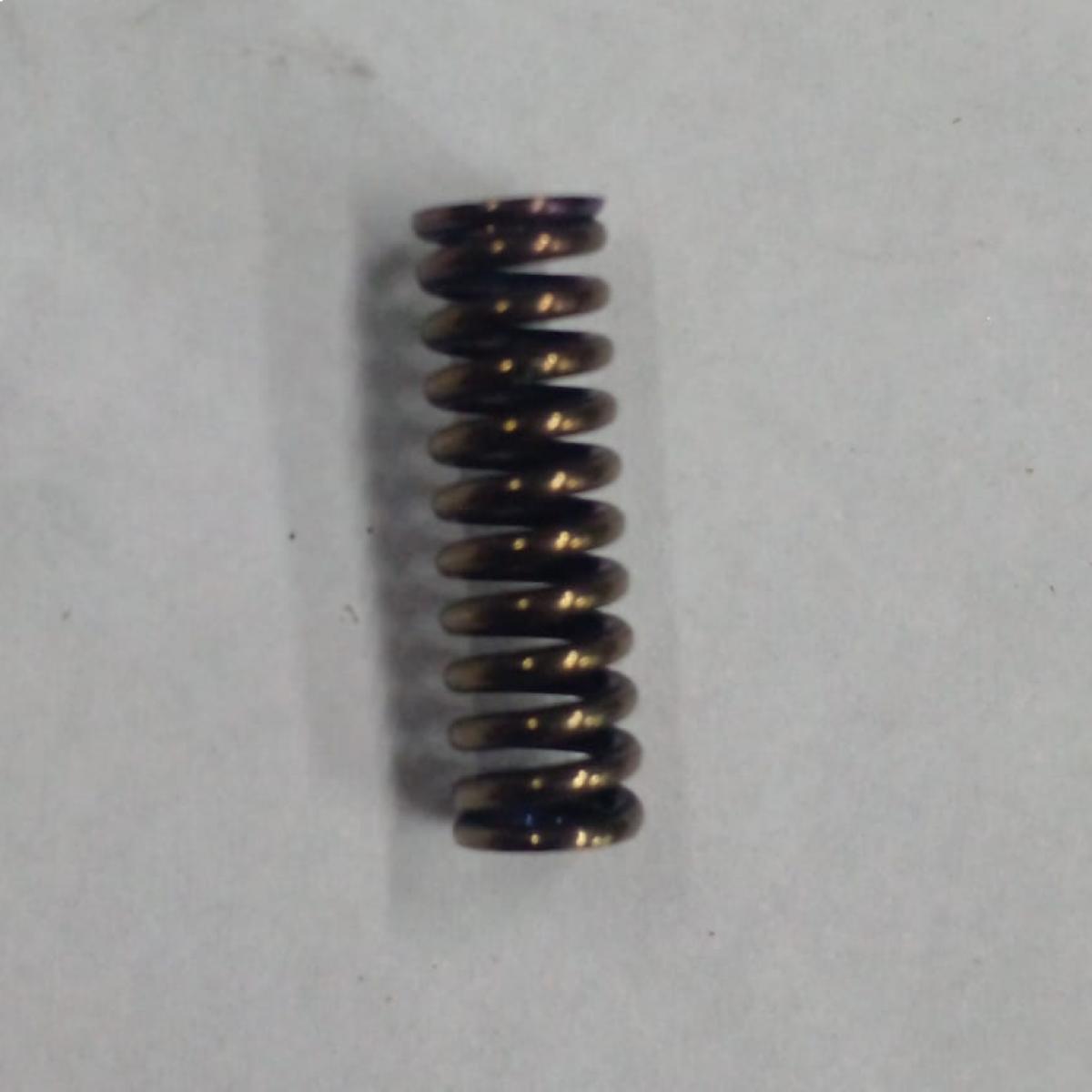 Resortes C105 Max - 3533975M1