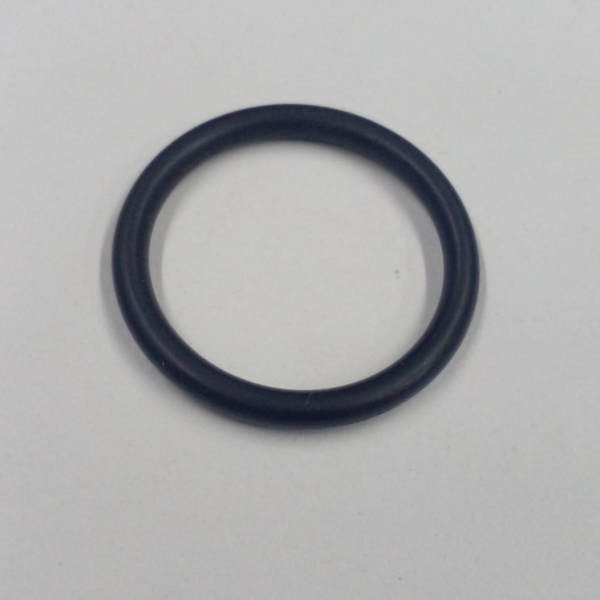 Oring motor 444 - 320/04040