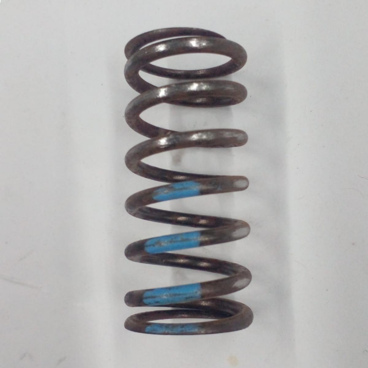 Resorte de valvula 214 - 320/03674